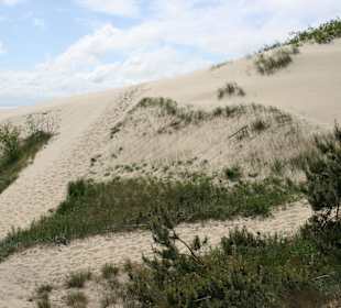Düne