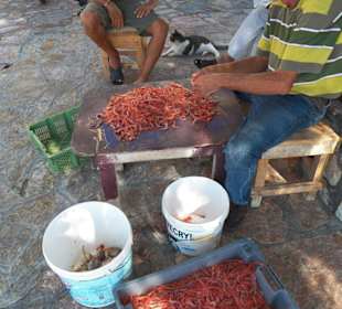 Chalki, schöne kleine Nachbarinsel von Rhodos