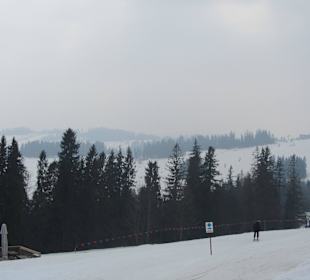 Wjazd na trasę biegową 