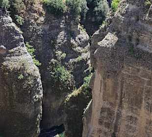 Schlucht von Ronda
