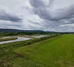 Kranichwoog Hütschenhausen in Hütschenhausen