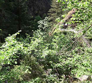 Wasserfälle Allerheiligen