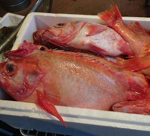 Rundgang durch Fiedlers Fischmarkt