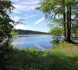 Eindrücke vom Rundgang um den Fichtelsee