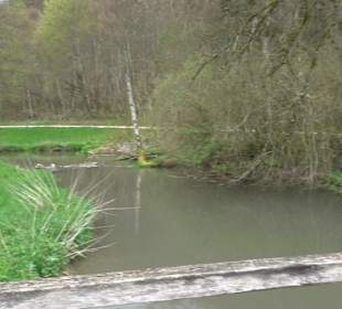 Eiszeitpfad - Burgfelsenpfad