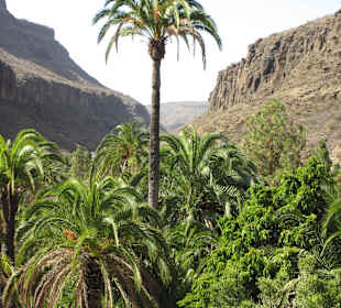 Ausblick Palmitos Park