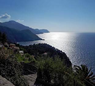 Strand Paguera/Peguera