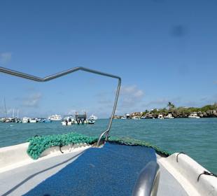 Mit dem Wassertaxi auf die andere Seite