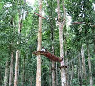 Hochseilgarten