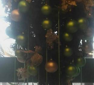 BOMBKARNIA Shop, Warsaw