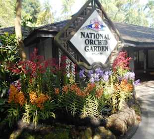 Orchideengarten