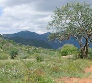 Tsavo West