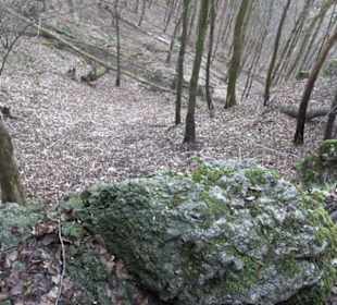 Schillerhöhle