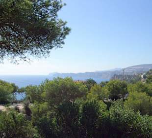 Herrliche Vegetation am Cabo de la Nao