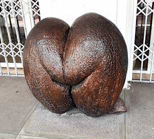 Stadtrundgang Victoria