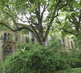 St. Katharina Kirche