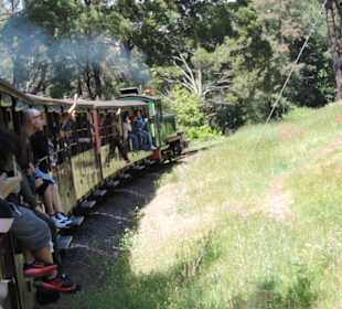 Mit der Puffing Billy Dampfbahn unterwegs