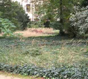 Gedenkstätte Alter Jüdischer Friedhof