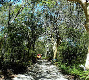 Fraser Island