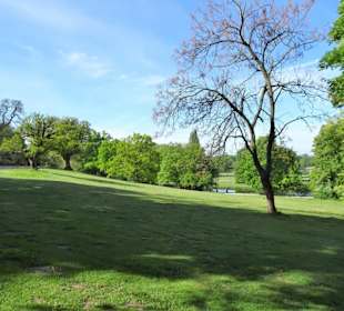 Blick vom Schloss Richmond zum Spielmannsteich