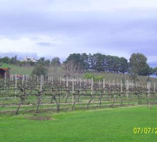 Fergusson Winery