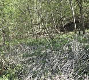 Ruine Schülzburg