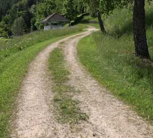Wanderung Klosterquelle Klosterreichenbach