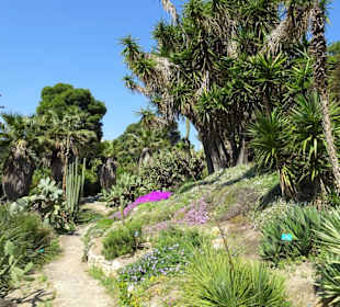 Rundgang durch den Botanischen Garten Cagliari