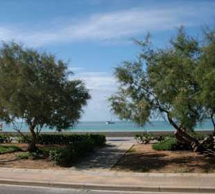 Strandabschnitt Playa de Palma
