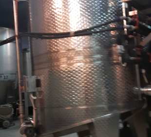 Führung Weinkellerei Boutari