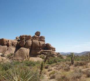 Warum blieb der dort oben liegen