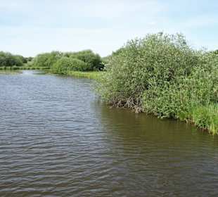 Eindrücke aus dem Teufelsmoor