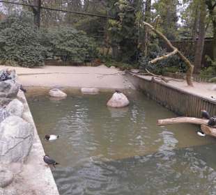 Weltvogelpark Walsrode