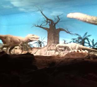 Gondwana - Das Praehistorium