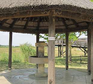 Trinkwasserbrunnen