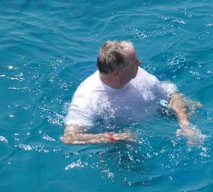 Delfin verfolgt mich 