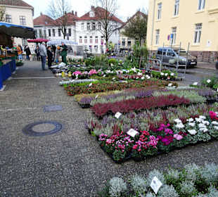 Impressionen vom Wochenmarkt Pferdemarkt