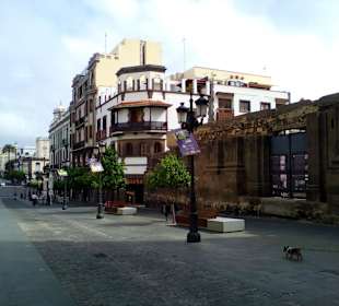 Sehenswürdigkeiten in Las Palmas