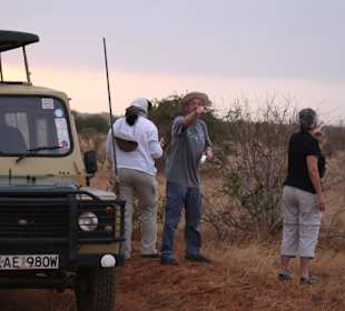 Aufenthalt ums Auto im Park