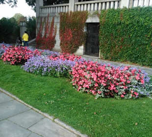 Hübsche Blumenrabatten.