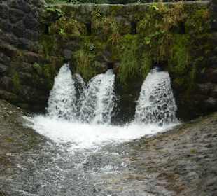 Tatrzański Park Narodowy