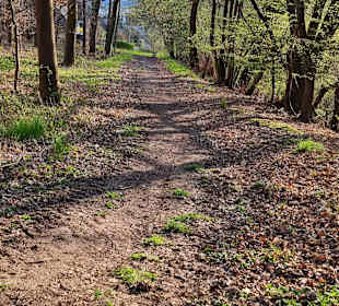 Stadtrundgang Rodenberg