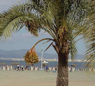 Strandblick an der Playa de Palma/Mallorca