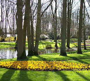 Keukenhof
