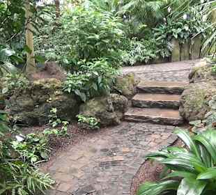 Tropicarium - Feuchte Tropen