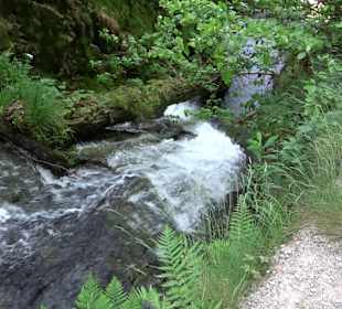 Wasserfälle Allerheiligen