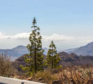 Buggy Super Pirata Tour Sep 2012