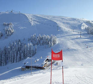 Blick zum Schmittenhöhengipfel, Kettingalmhütte