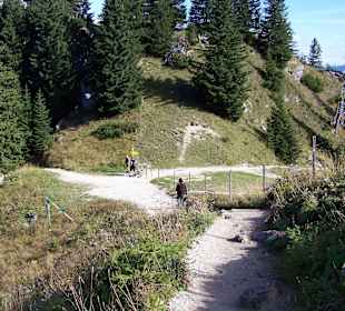 Wanderwege vom Tegelberg herab