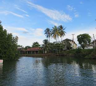 Flussfahrt direkt vor dem Club Hotel Dolphin mit Haralds Boo